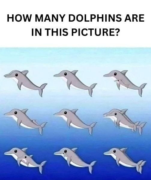 How Many Dolphins Are in the Picture?