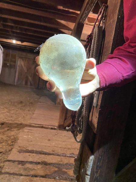 You’re Not Going to Believe What We Discovered Inside Our Barn!