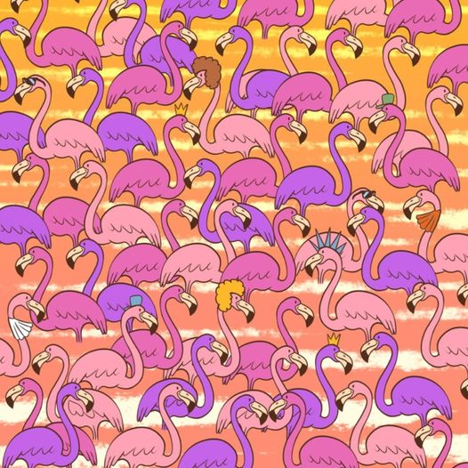 Find the small heart hidden among the flamingos. Look for the robot in the second photo as well!