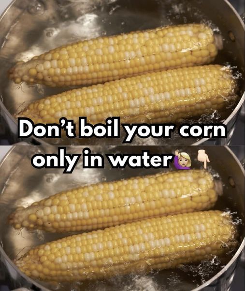 You Should No Longer Boil Corn Just in Water for This Reason.