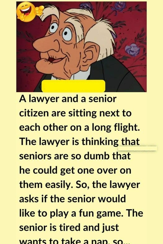 On a plane are a lawyer and an elderly person.