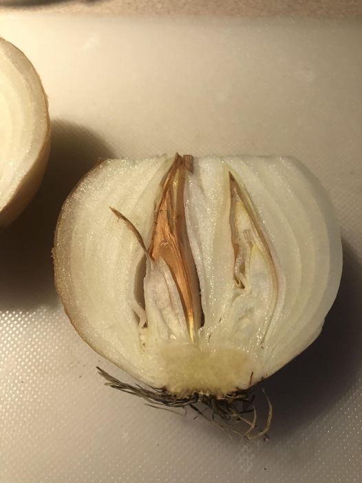 Is Eating Sprouted Onions Safe?