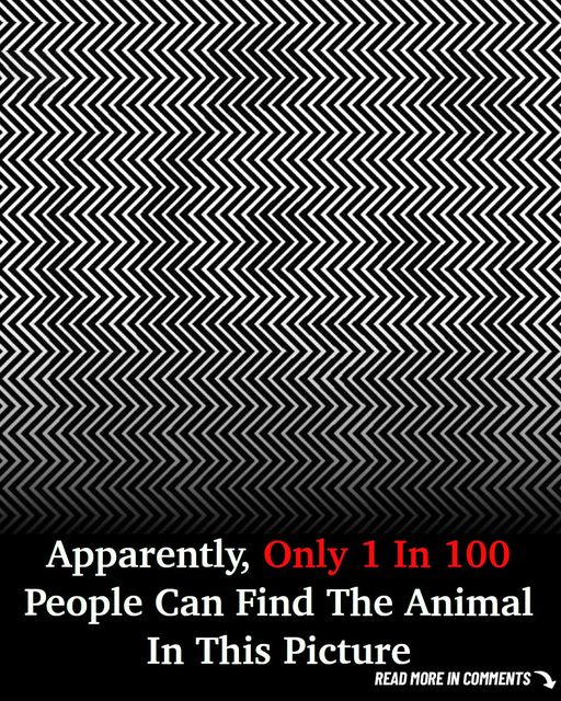 Only 1% of people, according to studies, are able to identify the animal in this image. Could You?