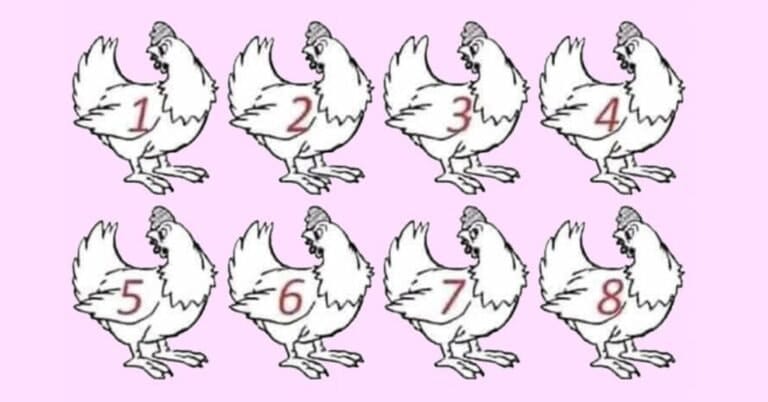 ARE YOU A GENIUS? NO ONE CAN FIGURE OUT WHICH CHICKEN IS DIFFERENT.