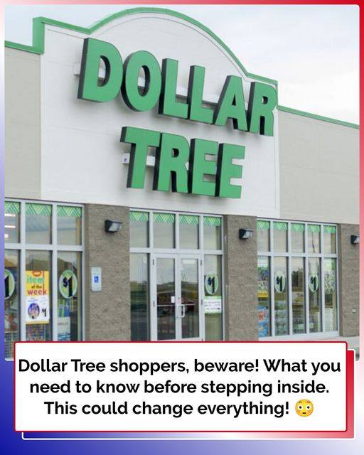 Never Buy These Items at Dollar Tree