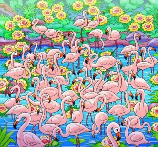 See if you can find the girl concealed among the stunning flamingos!