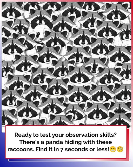 Are You Sure You’re Observant? Prove It by Finding the Hidden Panda!