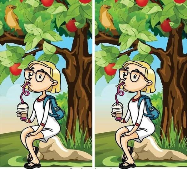 Try to find the differences hidden in the picture “Girl with a milkshake” in 22 seconds