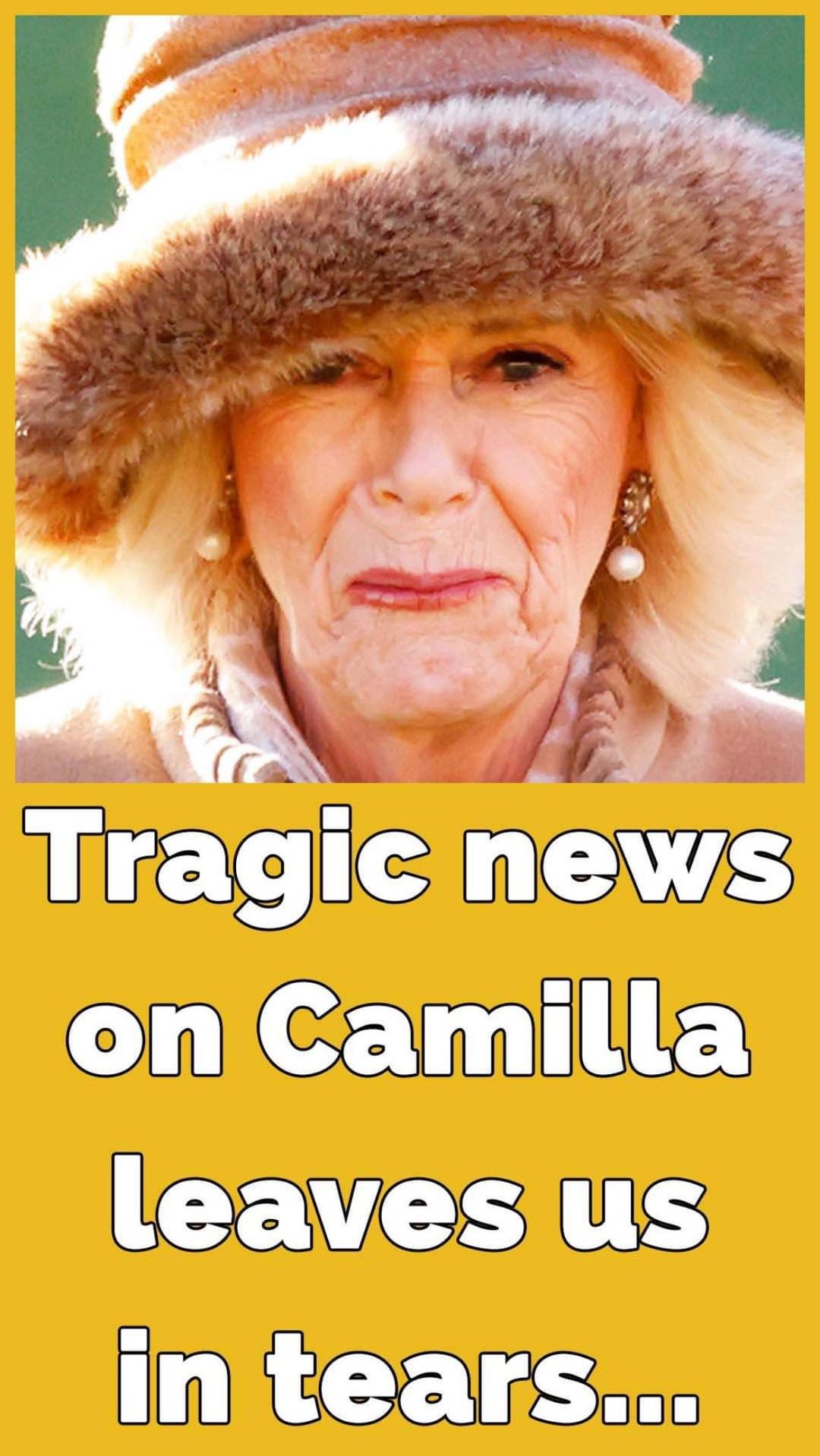 Camilla was afraid of going out shopping and ‘hid in her house’ when affair with Charles was made public, expert claims