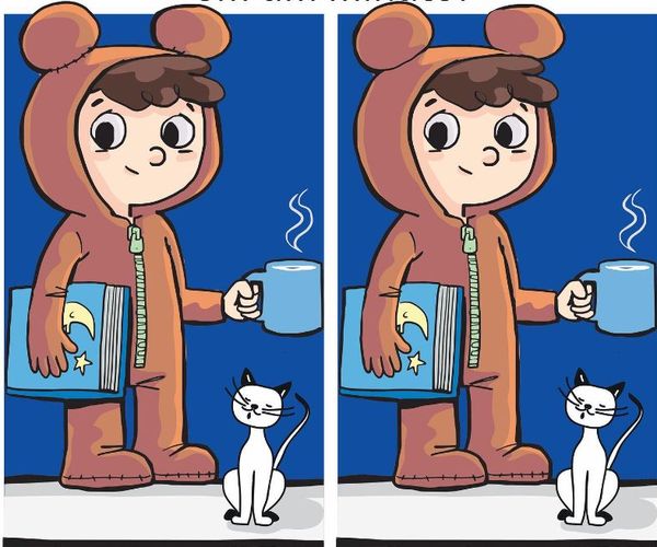 Find the difference in this bear image within 10 seconds