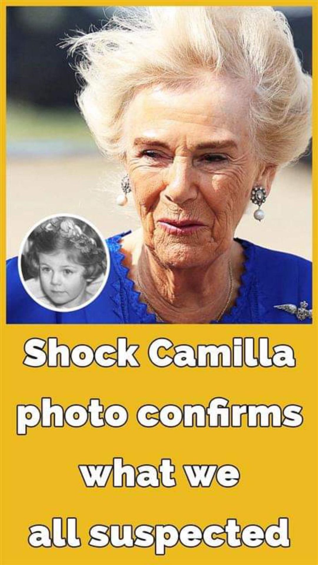 Queen Camilla’s wealthy childhood: Pre-royal pictures speak volumes