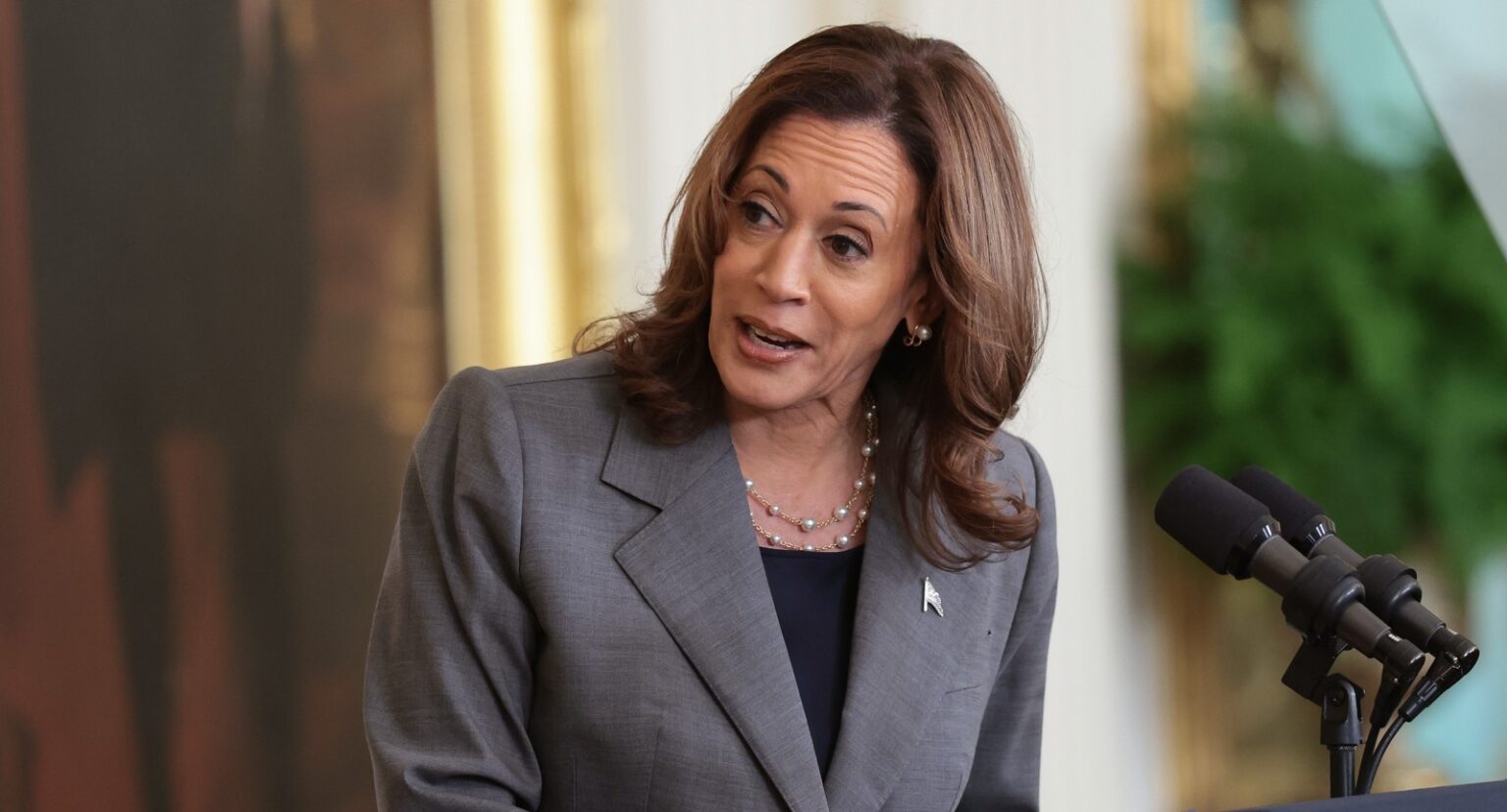 Kamala Harris Hit With Brutal Poll Result In Must-Win Swing State