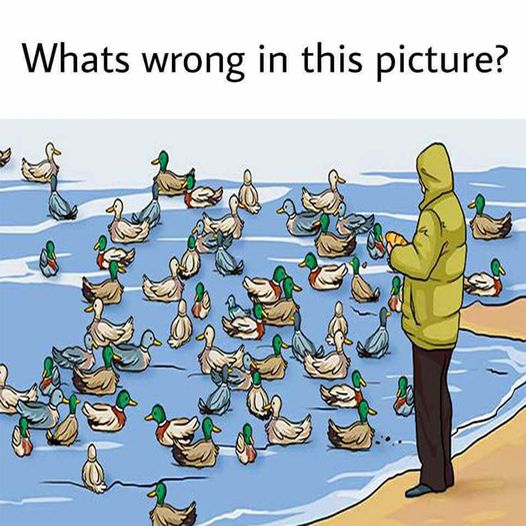 Most individuals fail to notice it, but can you find what’s incorrect in this picture?