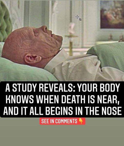 A study uncovers that your body senses approaching death, with the nose being the first to signal it.