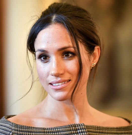 Meghan Markle has ‘lost friends and allies everywhere,’ claims royal expert