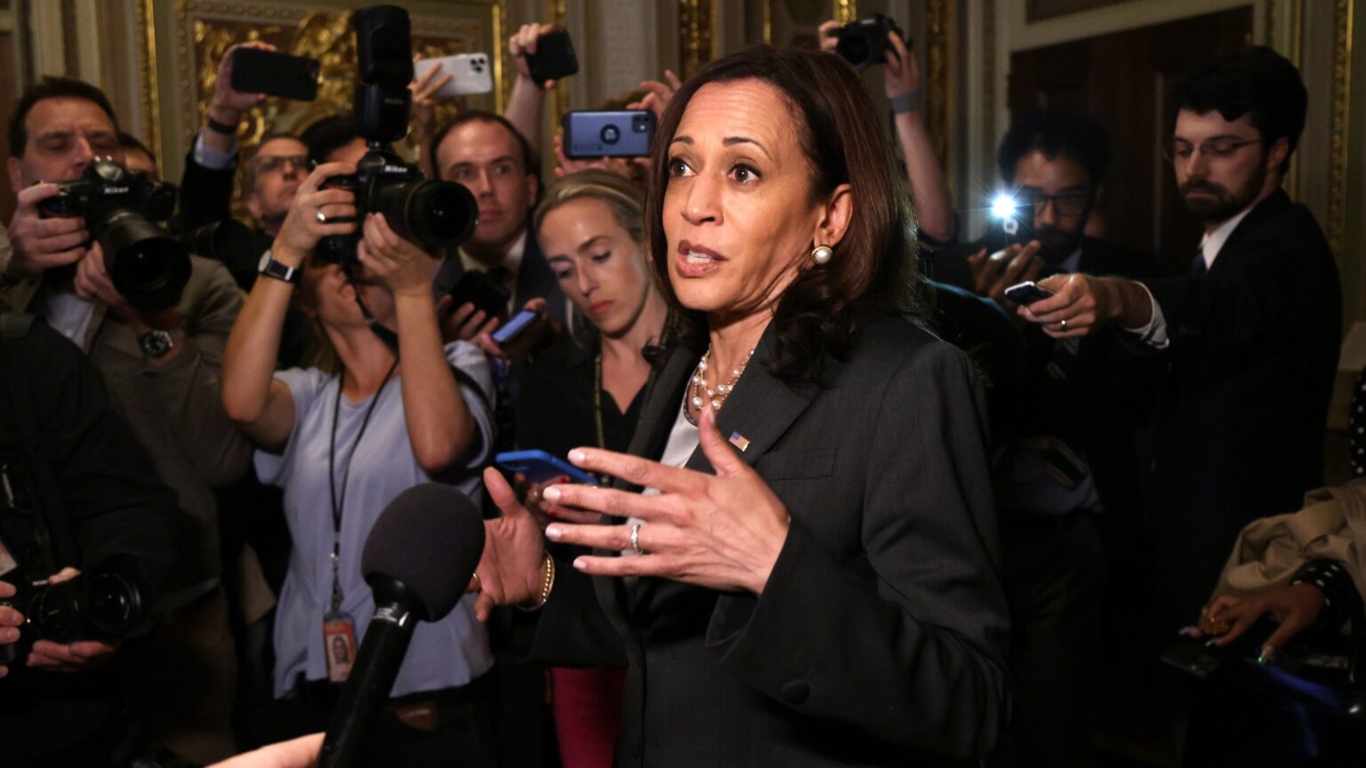 Kamala Harris Losing 5 of 7 Key States to Trump: Polls