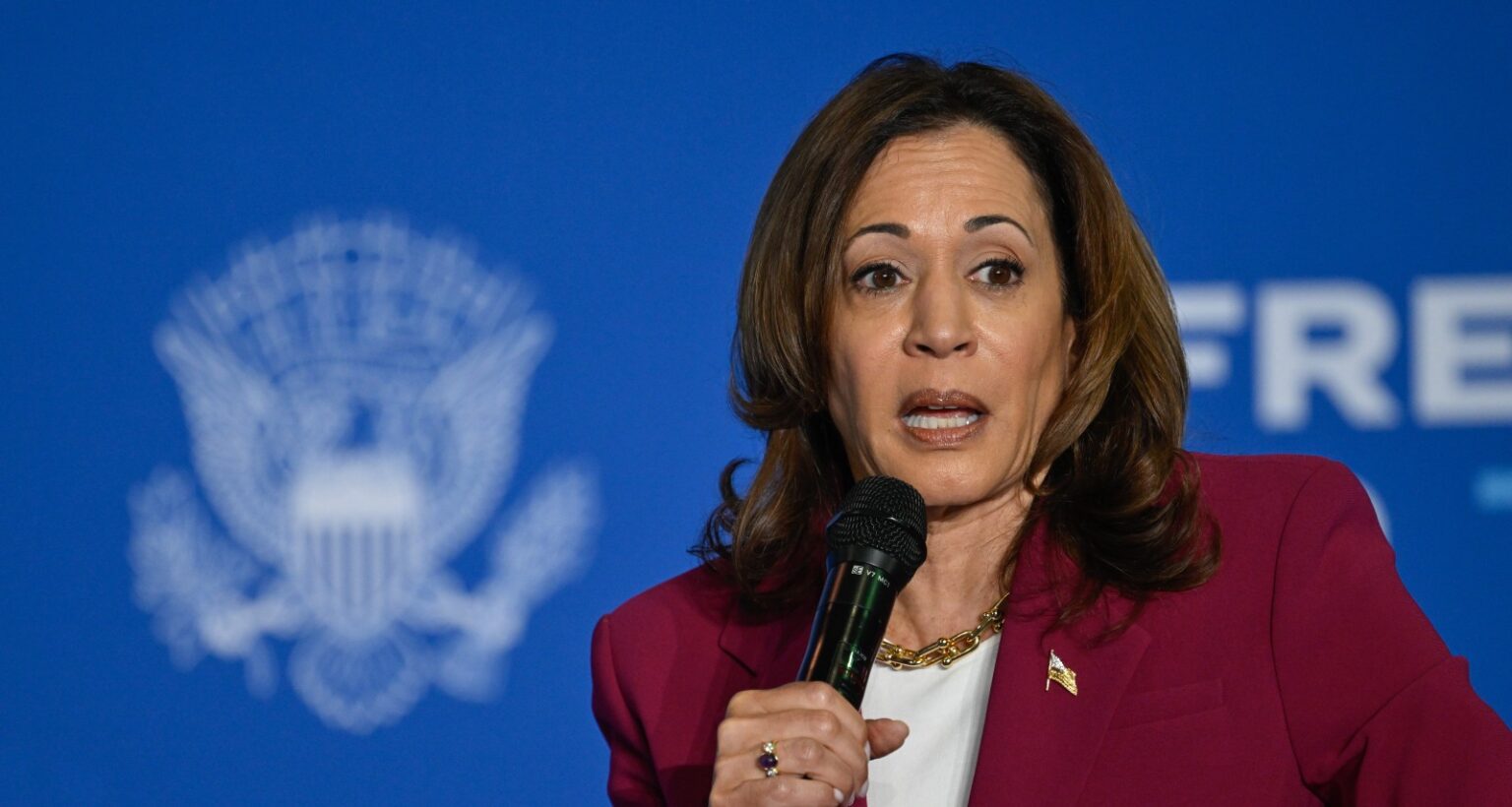 Dems Panic Over Harris Strategy As ‘Blue Wall’ Crumbles: ‘They Are Not Thinking’