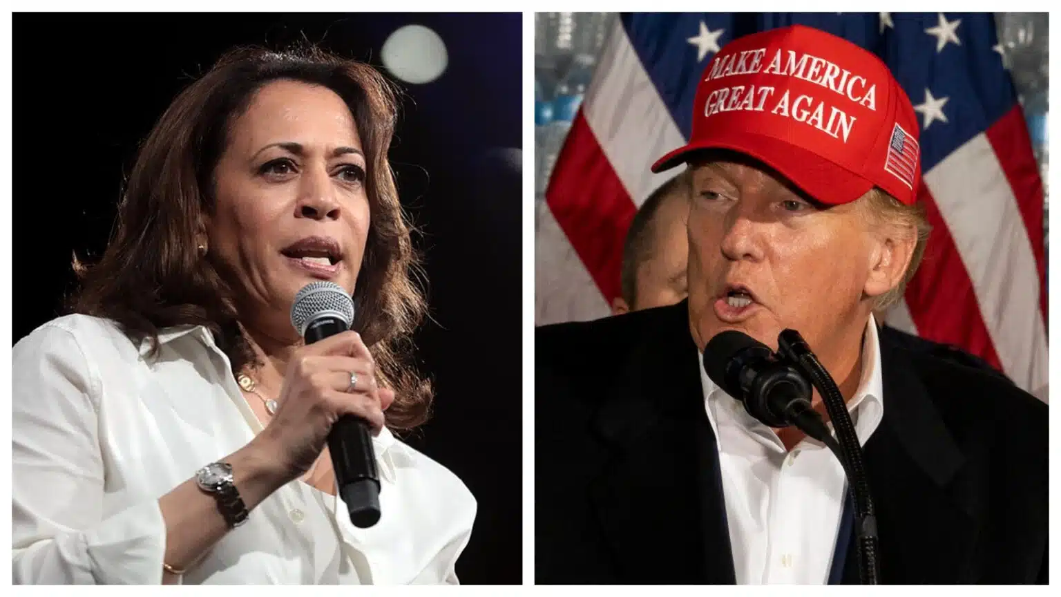 New Signs Point to Harris Loss Against Trump