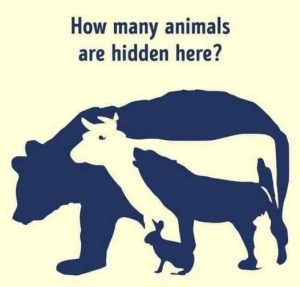 If you can spot all the animals in this picture, you might have eagle-eyed vision.