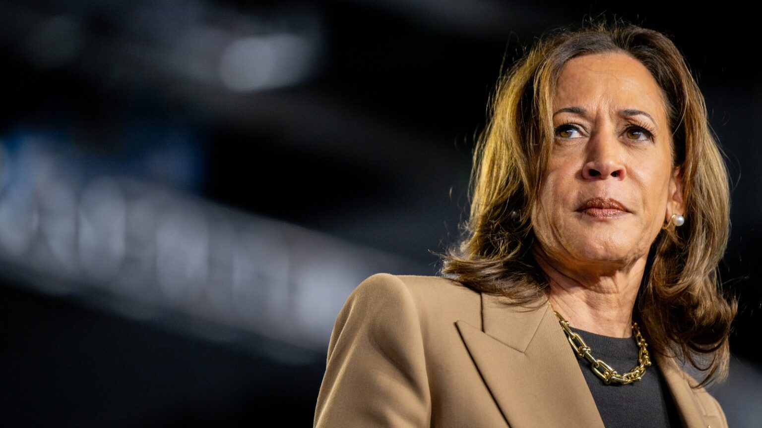 Fundraiser For Harris Campaign Says She Was ‘Misled’ By Top Officials: ‘Epic Disaster’