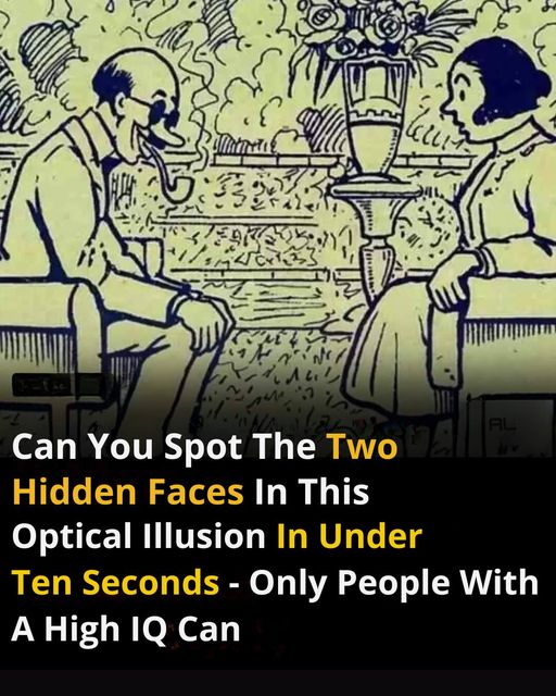 Can anyone spot the two hidden faces in just ten seconds?