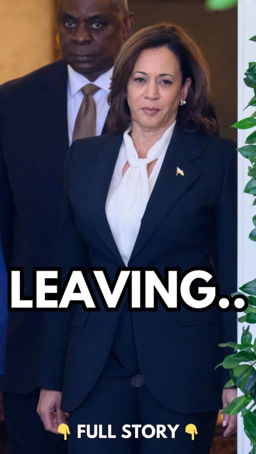 ‘Please Don’t’: Dem Strategist Begs Kamala Not To Run for President in 2028