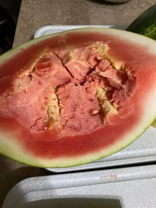 I was cutting my watermelon and was confused when I saw these hard stems in it, does anyone know what it is?