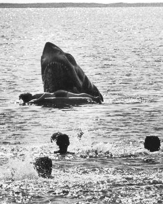 Deleted Jaws scene: The shark attack you never saw