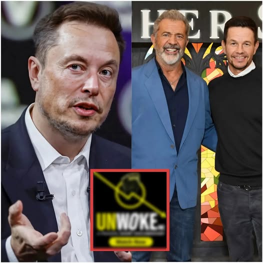 Mel Gibson and Mark Wahlberg are teaming up with El0n Musk to invest $1 billion to $3 billion in a “w0ke” movie studio committed to traditional family values.