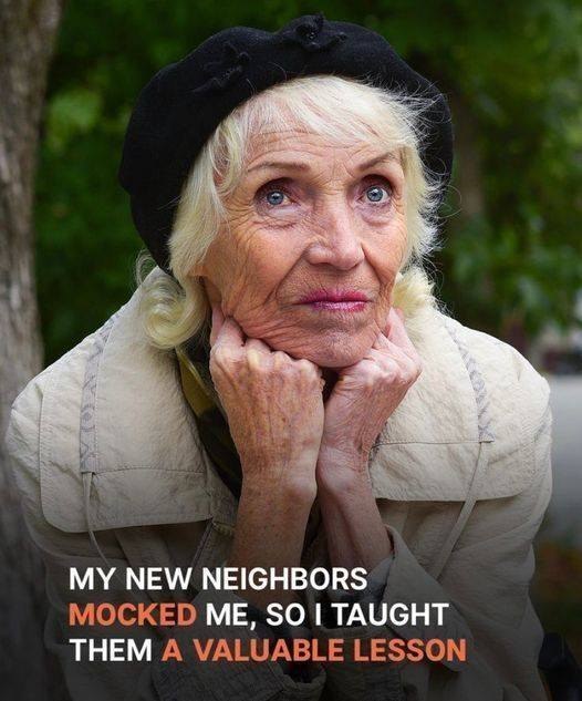 HER SON TAUGHT A LESSON TO HER NEW NEIGHBORS WHO BULLIED THE OLD LADY