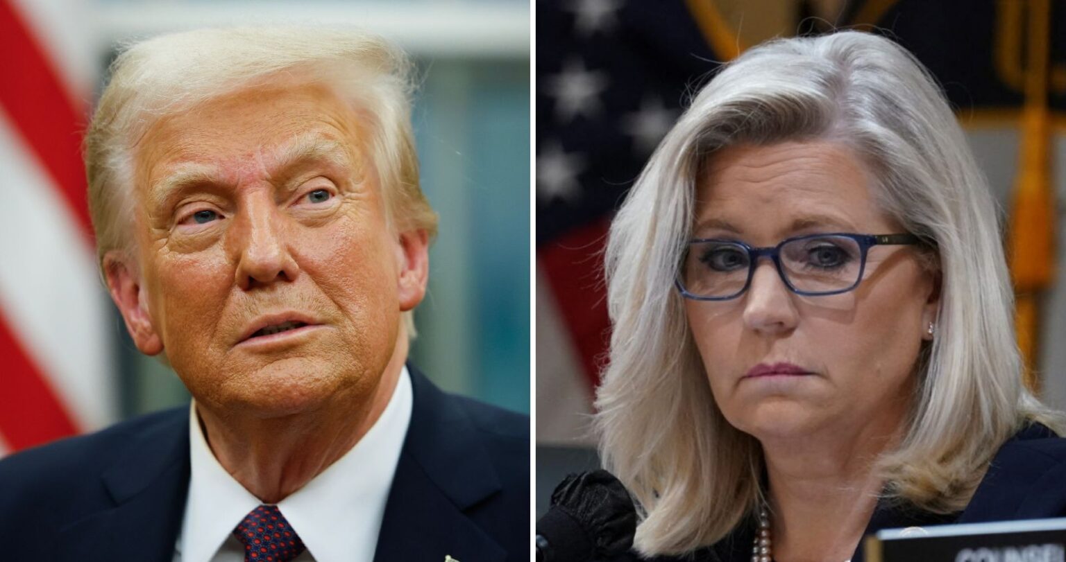 ‘Why Are We Helping Liz Cheney?’: Trump Tears Into Former GOP Rep