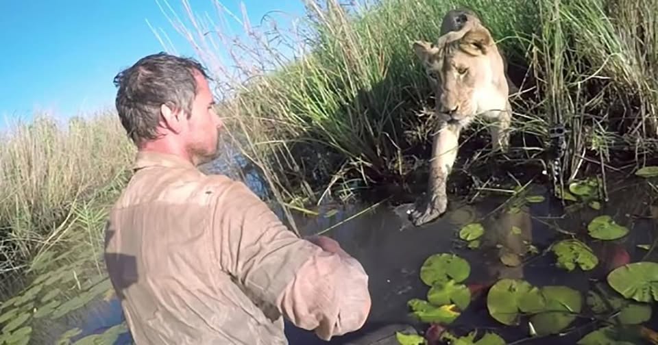 We saw amazing pictures and videos of nature, but this video hit us hard