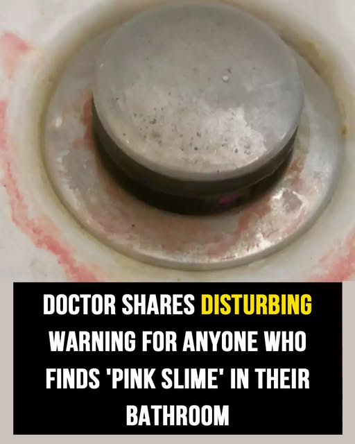 Doctors warn against ‘pink slime’ in bathroom